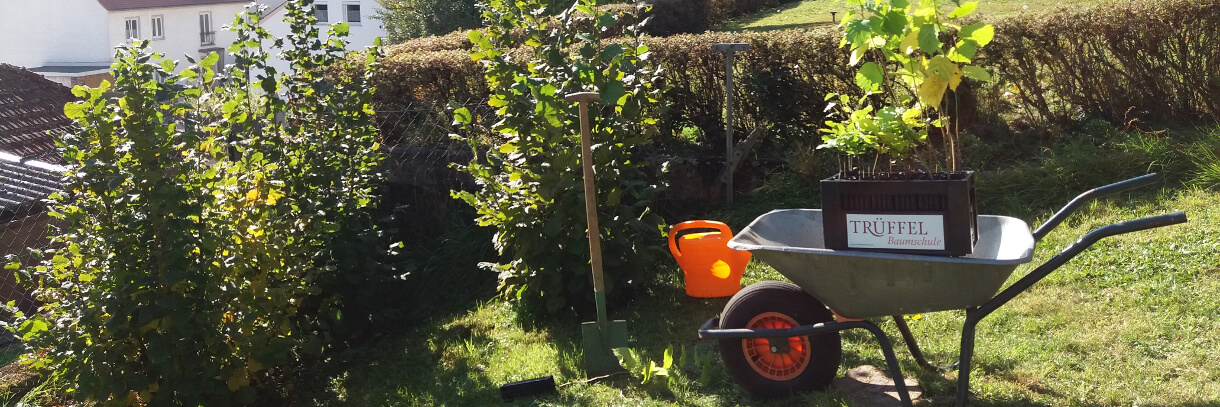 Trüffelgarten eigene Trüffelernte vor der Haustür